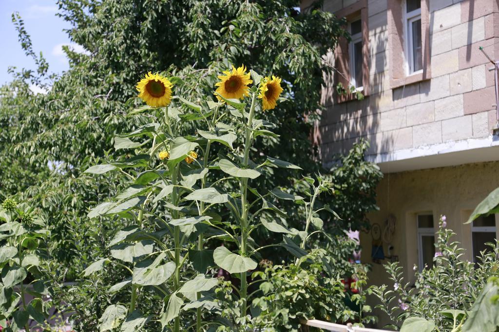 Garden Of Cappadocia Apartment Üçhisar Exterior foto